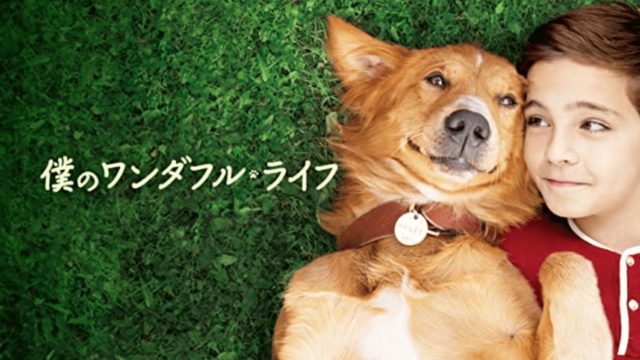 全ての犬好きが涙する 僕のワンダフル ライフのストーリーと名シーンをネタバレ動画で完全解説 ミツカル 全ての犬好きが涙する 僕のワンダフル ライフのストーリーと名シーンをネタバレ動画で完全解説 ミツカル