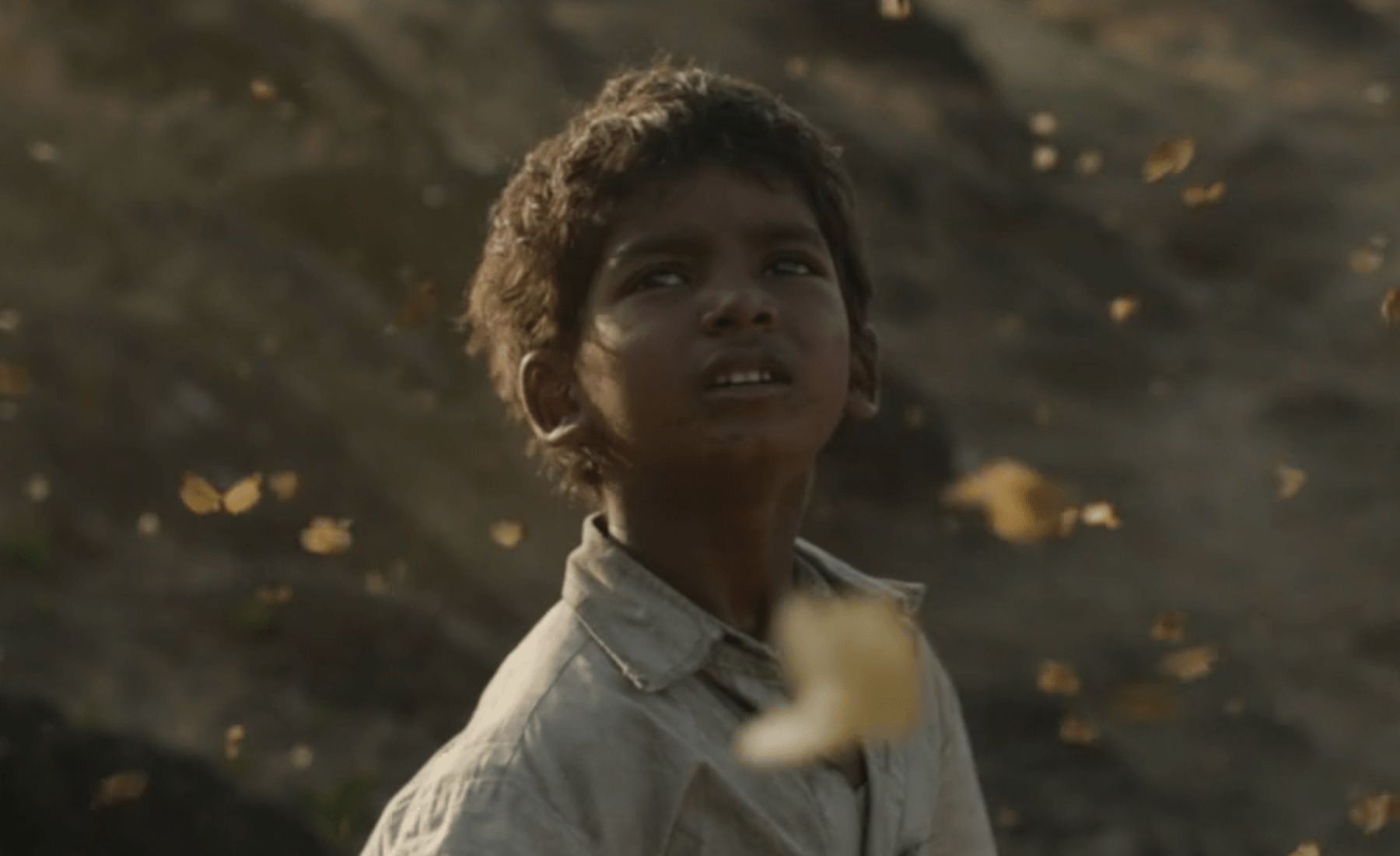 世界の闇と愛情の深さに感動 Lion ライオン 25年目のただいまのストーリーと名シーンをネタバレ動画で完全解説 ミツカル